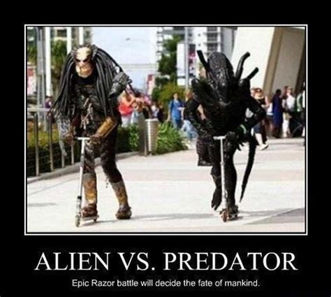 The 24 Funniest 'Predator' Memes, Ranked