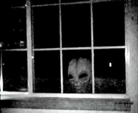 Alien Back Window に対する画像結果