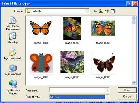 CBIR Using MATLAB に対する画像結果