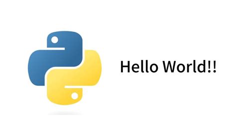 How to Write Python Code に対する画像結果