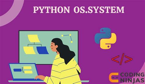 Python System Code に対する画像結果