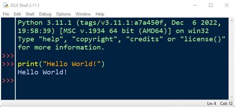 Afbeeldingsresultaten voor python interactive
