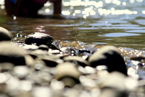 Image result for Dwingdling