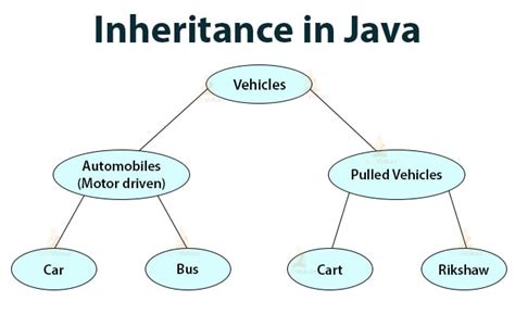 Image result for Java Inheritance Example Code