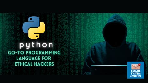 Bildergebnis für Python Hacking Scripts