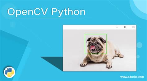 Curso OpenCV Python に対する画像結果
