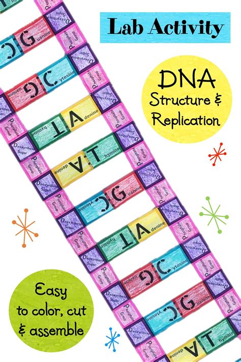 Image result for Science Lessons DNA
