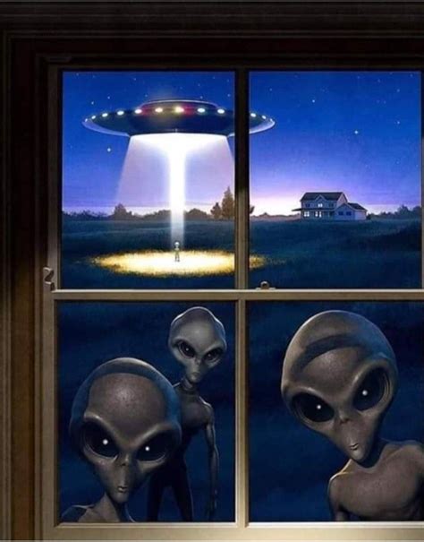 Alien Back Window に対する画像結果