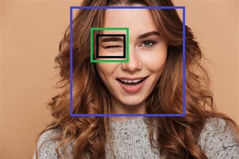 Image result for OpenCV Python Software