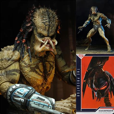 Image result for Alien vs Predator Collection
