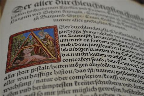 Image result for Latin Script Origin