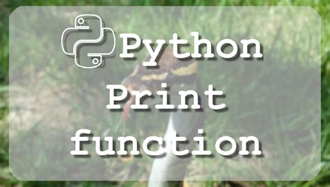 Image result for Print Python Tutorial
