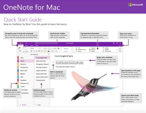 Image result for Guide OneNote