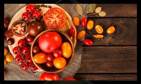 Image result for Classification Algorithm