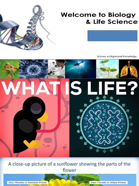 Image result for Introduction to Life Science