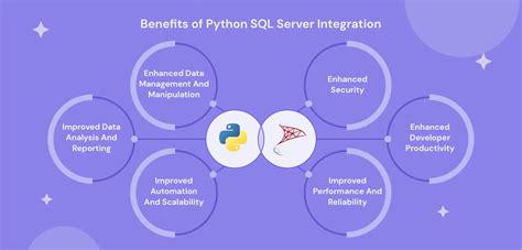 Image result for Python SQL