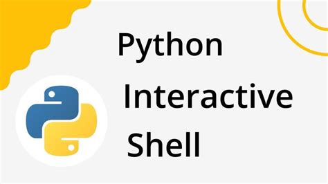 Image result for Python Shell