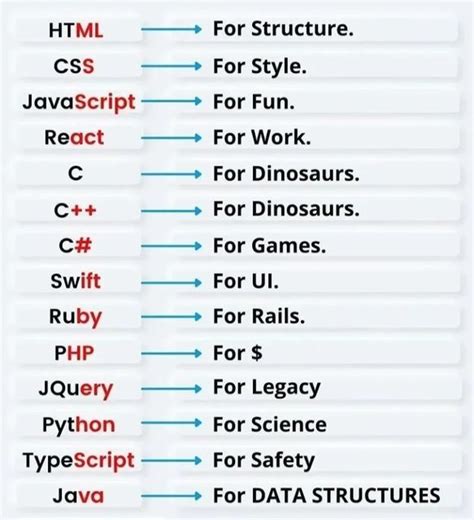 Image result for Computer Coding Types