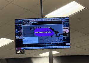 Image result for Explosive Tree Exploding