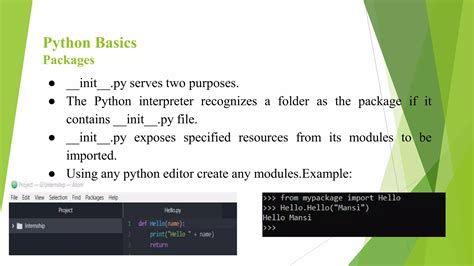 Image result for Python Programming Language Introduction