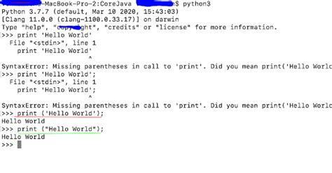 Program for Python Coding に対する画像結果