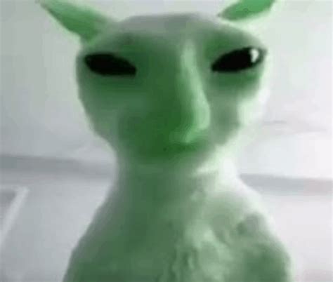 Alien Cat Meme - Alien Cat Cat meme - Discover & Share GIFs