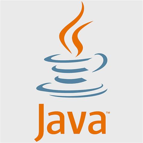 Image result for Java Programming Language Logo