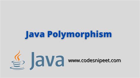 Image result for Polymorphism Java Code Line Example