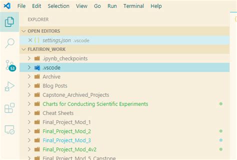 Image result for vs Code Python Function Explorer Tree