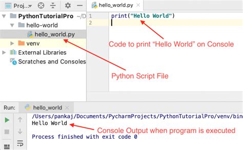 How to Write Python Code に対する画像結果