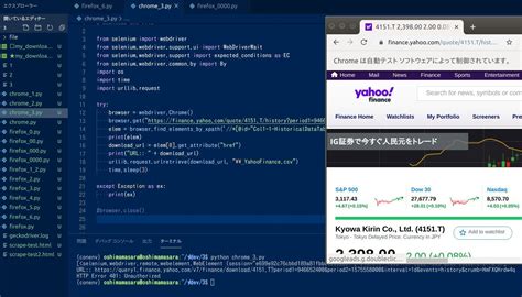 Python Scripts に対する画像結果