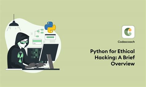 Image result for Python Hacking Scripts