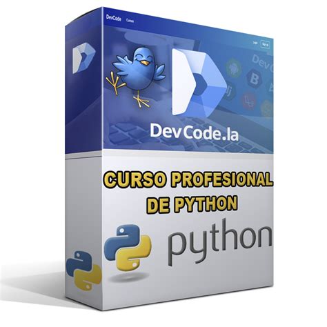 Toradh íomhá ar Curso Python PDF