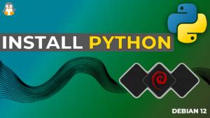 Image result for How to Make Python 12 Main Python