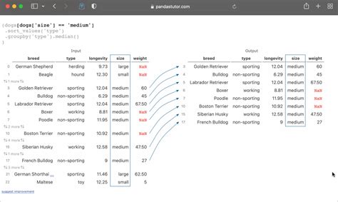Afbeeldingsresultaten voor Python Pandas Code Examples