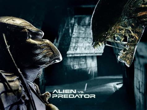 Image result for Alien vs Predator Xenomorph