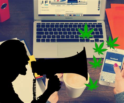 Image result for Marijuana Talk