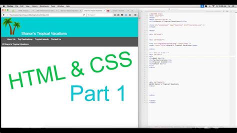 Image result for Basic CSS Code