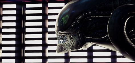 Image result for Alien From Alien Isolation Model