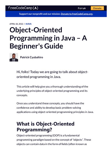 Image result for Examples OJ Java Programming