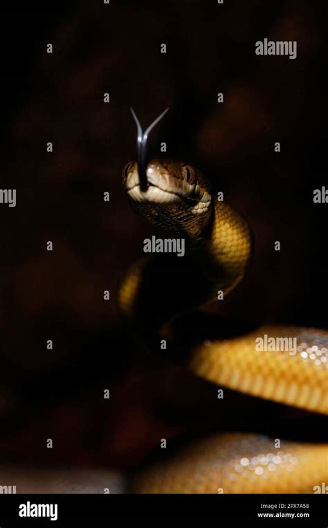 Image result for Example Python Code for Water Discharge