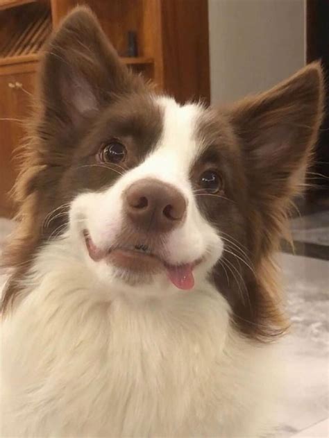 @the-w0nder-beards on Tumblr