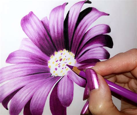 Afbeeldingsresultaten voor Flower Pencil Art Tutorials