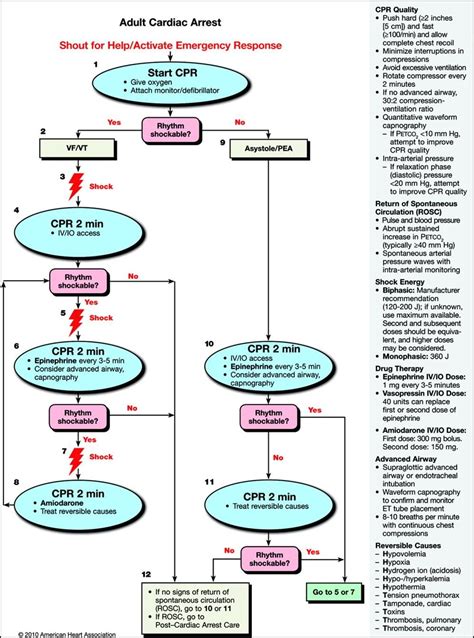 Image result for ACLS Algorithms