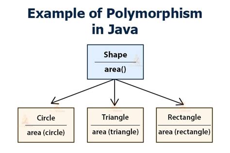 Image result for Polymorphism Java Example