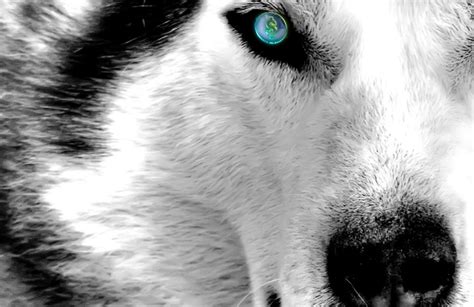 Image result for Marijuana Talk