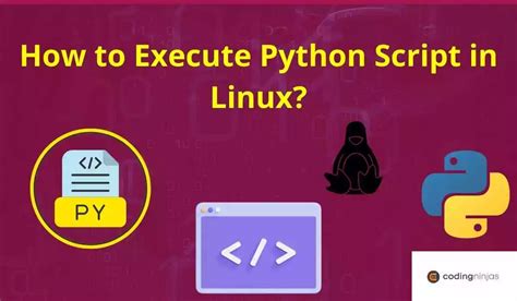 Execute Python Script From Command Line に対する画像結果