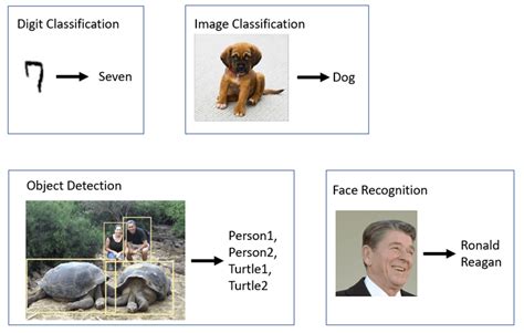 Image result for Computer Vision Classification Example