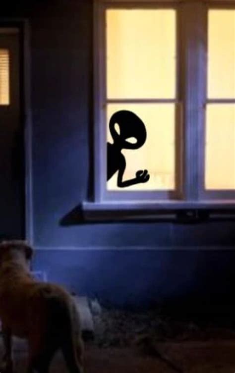 Image result for Alien Window