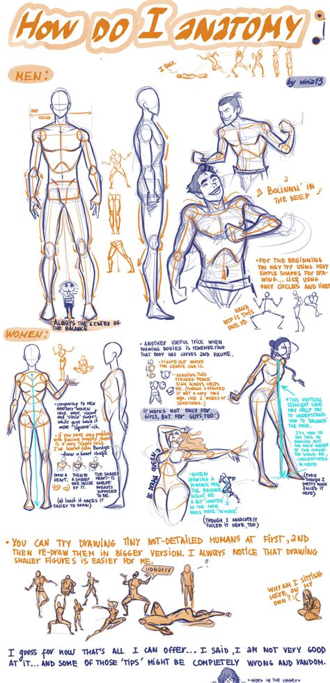 Image result for Anatomy Drawing